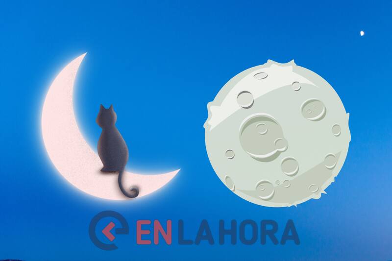 Lo primero que veas revelará si eres una persona exigente y atenta a los detalles, o por el contrario, si prefieres que las cosas fluyan