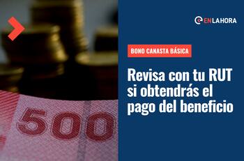 Bono Canasta Básica: Consulta con tu RUT si tienes el pago y conoce cuál es el monto que recibirás