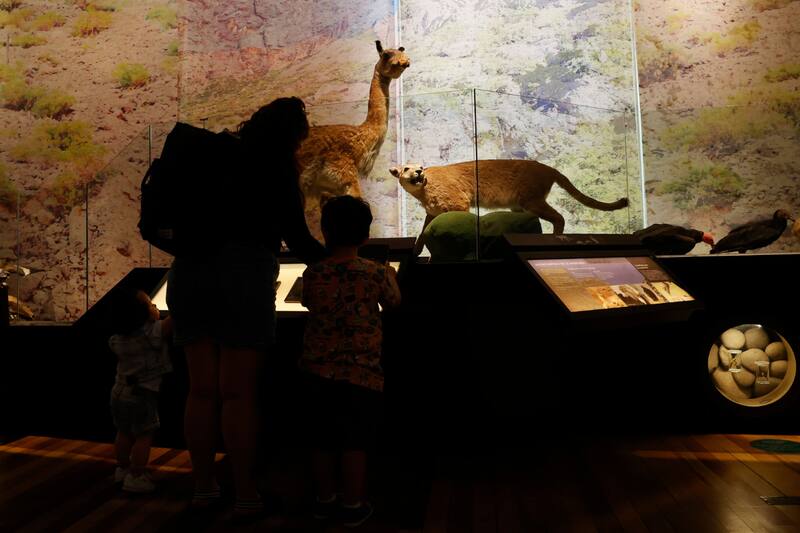 La instancia invita a recorrer los principales espacios culturales en horario extendido nocturno. Créditos: Raul Zamora/Aton Chile.