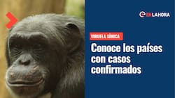 Viruela del Mono cada vez más cerca de Chile: Estos son los países con casos confirmados