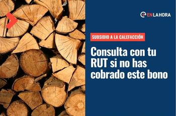 Subsidio Calefacción 2022: Revisa con tu RUT si tienes montos pendientes por cobrar del Bono Leña