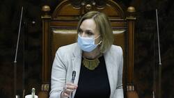Las críticas a Carolina Goic tras ser el voto que faltó para aprobar el cuarto retiro en el Senado