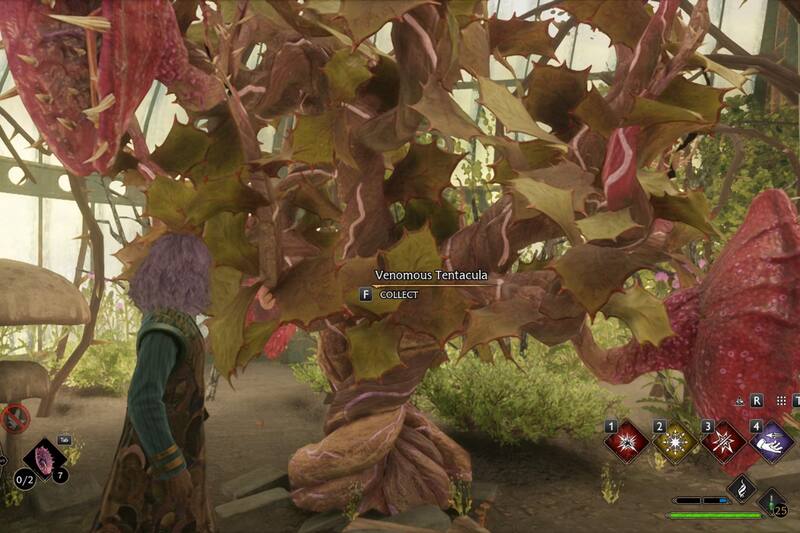 Hay tres formas en la que los jugadores pueden obtener la Venomous Tentacula. Créditos: Hogwarts Legacy