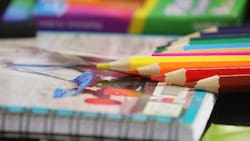 Junaeb entrega set de útiles escolares gratuitos para la vuelta a clases: quiénes pueden recibirlo y qué contienen