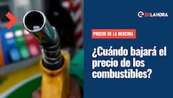 Precio de las bencinas: ¿Desde cuándo podría bajar el valor de los combustibles y por qué?