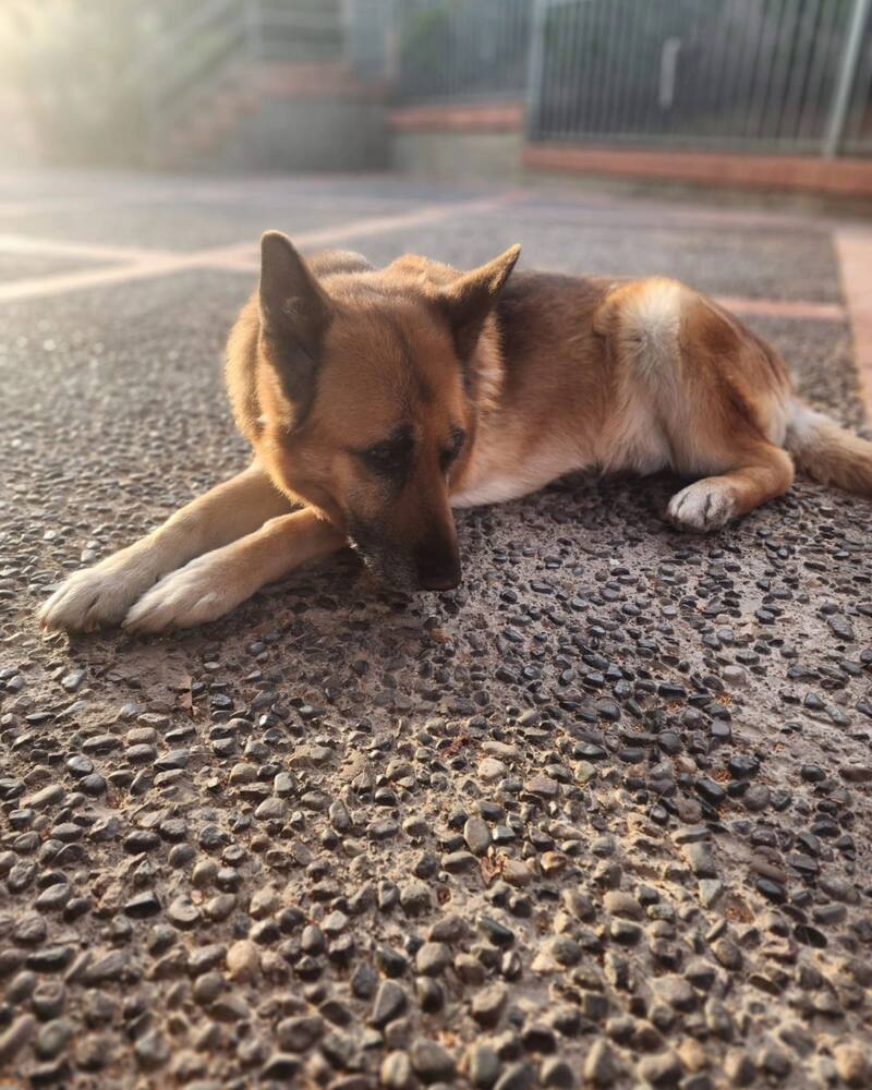 Esta fue la fotografía de Johann que el médico quiso compartir.