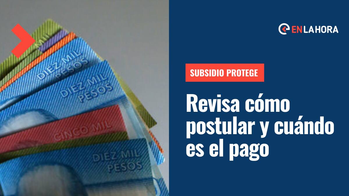 Subsidio Protege: Desde mañana puedes postular al bono de $200 mil y así es cómo se hace