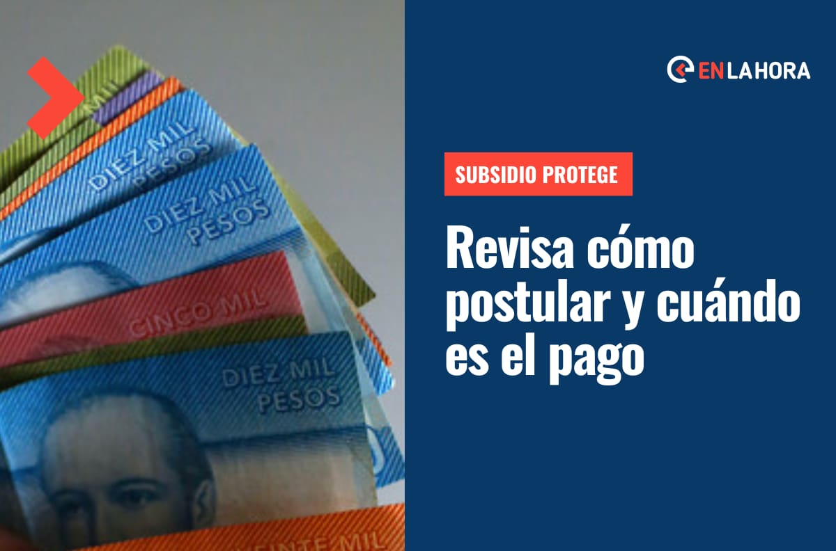Subsidio Protege: Desde mañana puedes postular al bono de $200 mil y así es cómo se hace