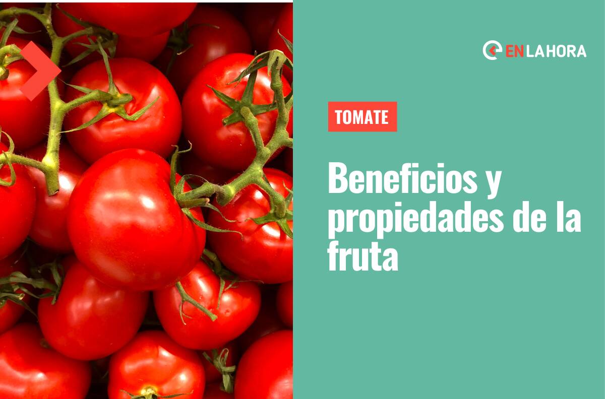 Beneficios del tomate: ¿Conoces cuáles son las propiedades de esta jugosa fruta?