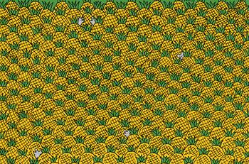 Test Visual: Desafía tu agudeza visual y encuentra los choclos ocultos entre las piñas en menos de 15 segundos