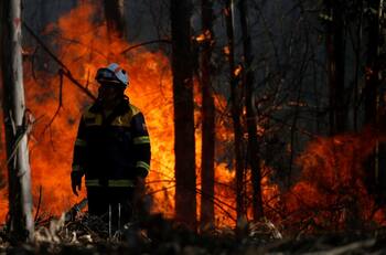 Incendio forestal en Tiltil: al menos 12 casas y más de 100 hectáreas han sido consumidas por el siniestro