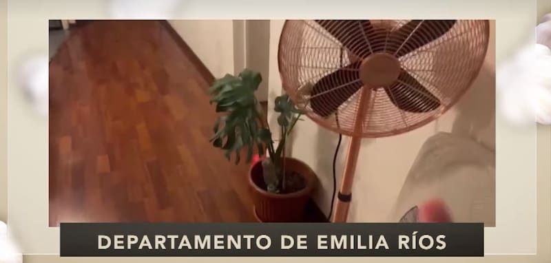 Una de sus plantas que son su orgullo. Créditos: CHV.