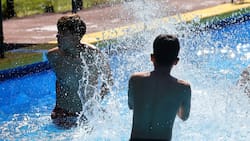 Municipalidad de San Bernardo ofrece talleres de natación gratuitos este verano: Así puedes participar