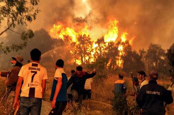 VIDEO | Incontrolables incendios ya dejan 37 muertos en Argelia debido a las altas temperaturas