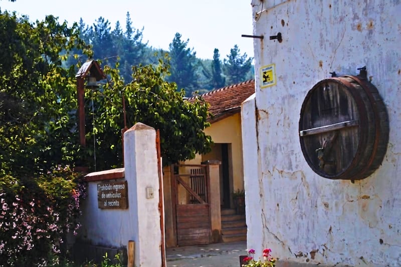 Una experiencia que introduce a sus visitantes en una locación tradicional del vino. Foto: Turismo Villa Alemana en Facebook.