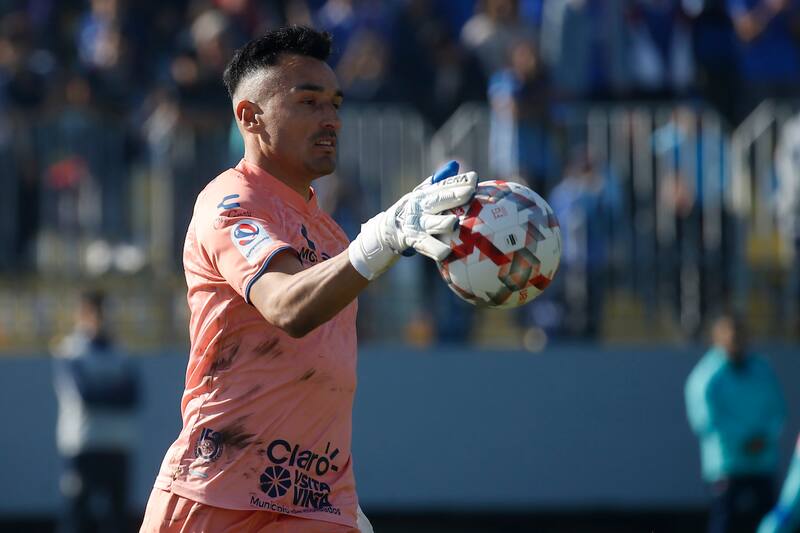 El Halcón ha defendido las camisetas de Deportes Linares (Tercera B y Tercera A); San Antonio Unido (Segunda); Unión San Felipe (Primera B); Everton (Primera A y Primera B); Deportes Copiapó (Primera B); Unión La Calera (Primera A y Primera B); Deportes Puerto Montt (Primera B); y Deportes Temuco (Primera B).