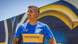 “Colo Colo se está llevando a un gran jugador; Álvaro Madrid es muy parecido a Vicente Pizarro”