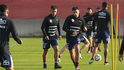 Pasó por La Roja, rescindió en Argentina y su futuro quedó en el aire: “Estamos barajando volver a Chile”