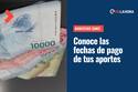 Beneficios Sence: Conoce las fechas de pago del IFE Laboral, Subsidio Protege, BTM y SEJ para octubre y noviembre