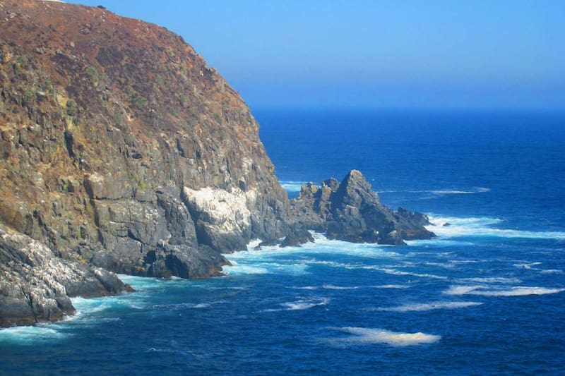 Poseen 295,9 hectáreas, gran cantidad de flora y fauna, y una vista privilegiada al océano Pacífico.
Foto: X: La historia de Valparaíso.