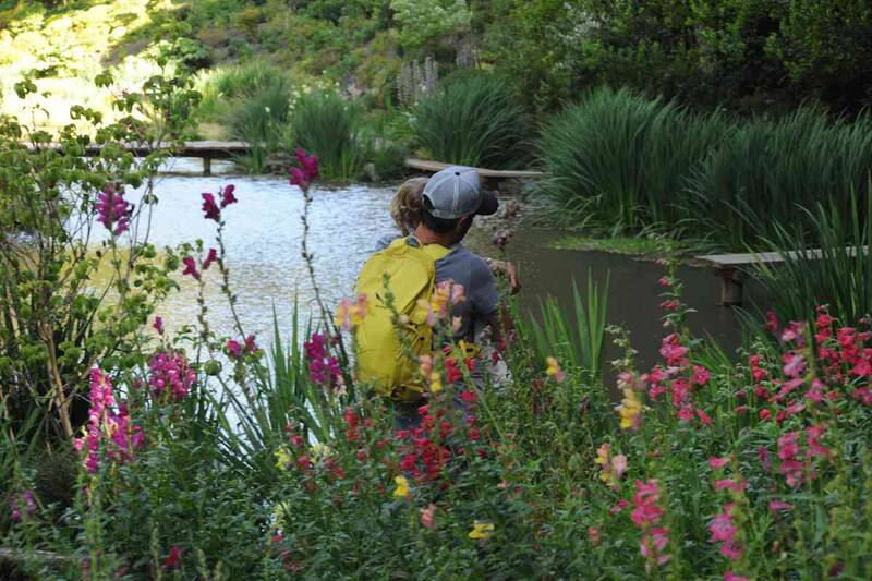 Pasea por los senderos y conoce las diversas especies, miradores y sorpresas que hay. Créditos: Parque Tricao.