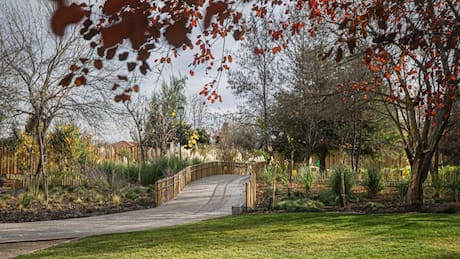El jardín secreto que está en Santiago y no sabías que existía: Es ideal para visitar en familia