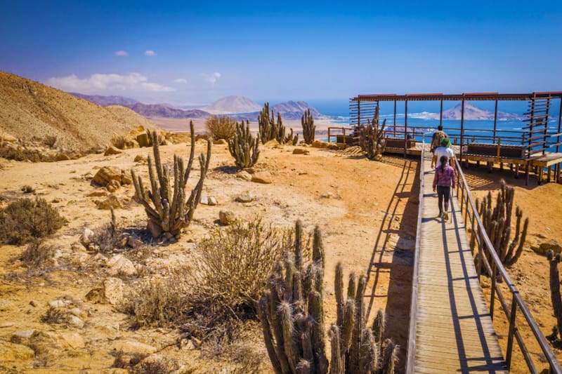 El sitio que llama a ser visitado en el norte de Chile. Créditos: Chile Travel.