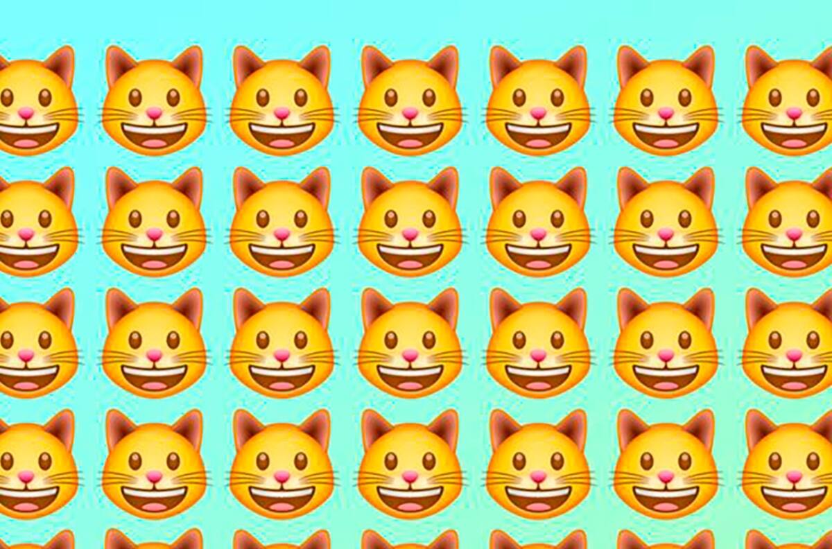 Test Visual: ¿Puedes encontrar el gato diferente en menos de 10 segundos?