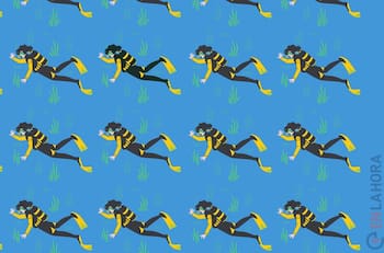 Test Visual: ¿Puedes encontrar la tortuga escondida entre los buzos en menos de 5 segundos?