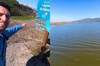 Escapa del estrés de la ciudad en el Humedal de Batuco: El parque que está solamente a una hora de Santiago