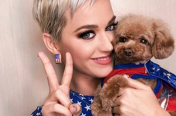 Katy Perry desató polémicas al afirmar que quiere ser vegana junto a su perro