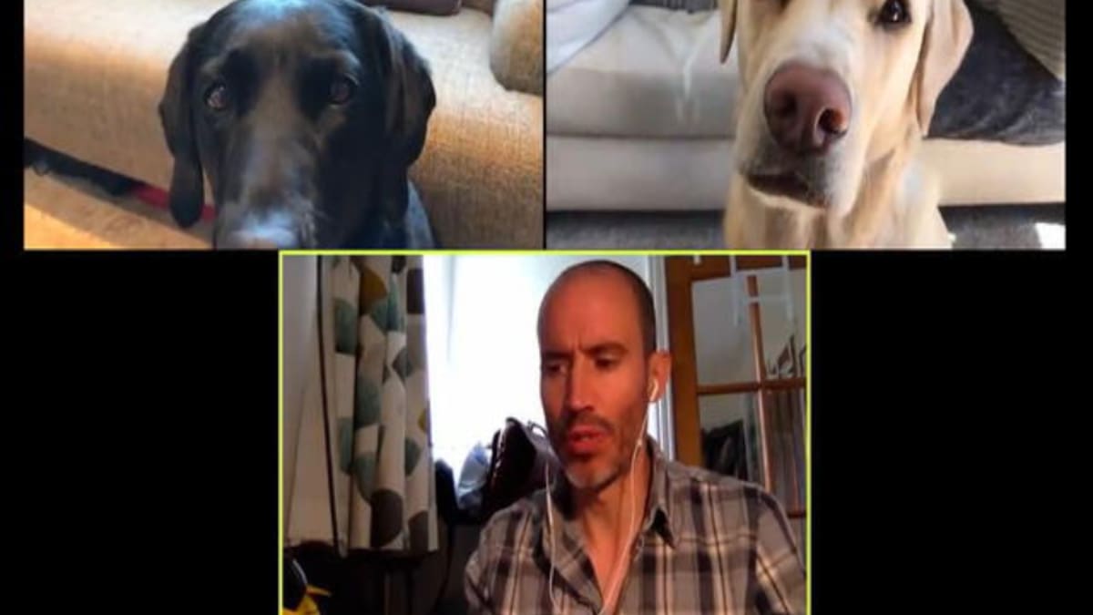La divertida conversación virtual de un periodista y sus perros