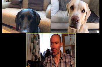 La divertida conversación virtual de un periodista y sus perros