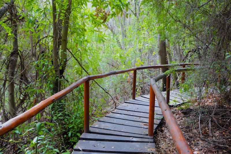 El excelente panorama que llama a ser visitado en otoño. Créditos: Conaf.