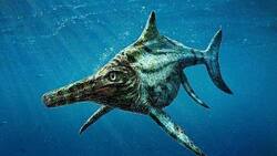 ¿Quién es Fiona?: El fósil de ictiosaurio rescatado de un glaciar en la Patagonia chilena