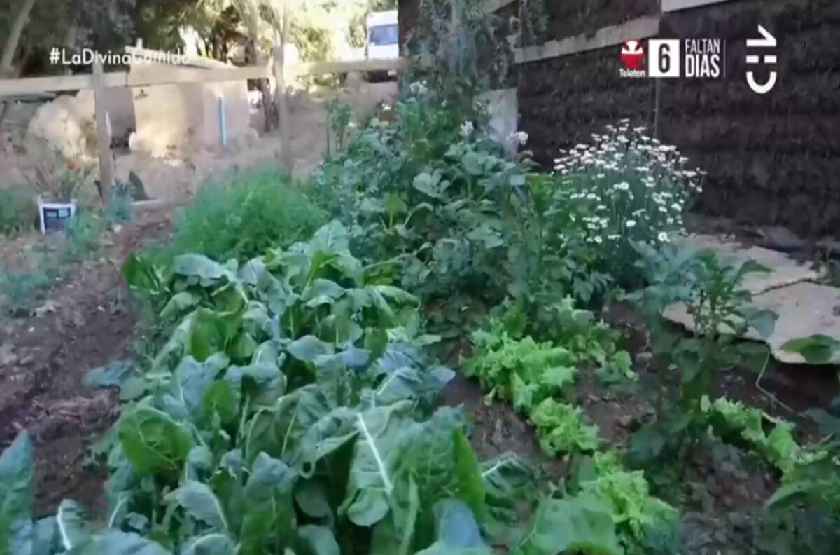 La casa de Daniela Ramírez cautivó a los televidentes de la Divina Comida