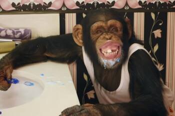 PETA se enfrenta a The Offspring por su nuevo video musical protagonizado por dos chimpancés
