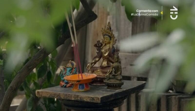 Sebastián Longhi vive en Comunidad Ecológica de Peñalolén. Créditos: Pantallazo CHV