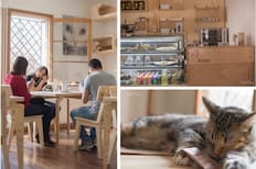 La casa de la Gata Horacia: La mejor cafetería para los amantes de los felinos está en Santiago