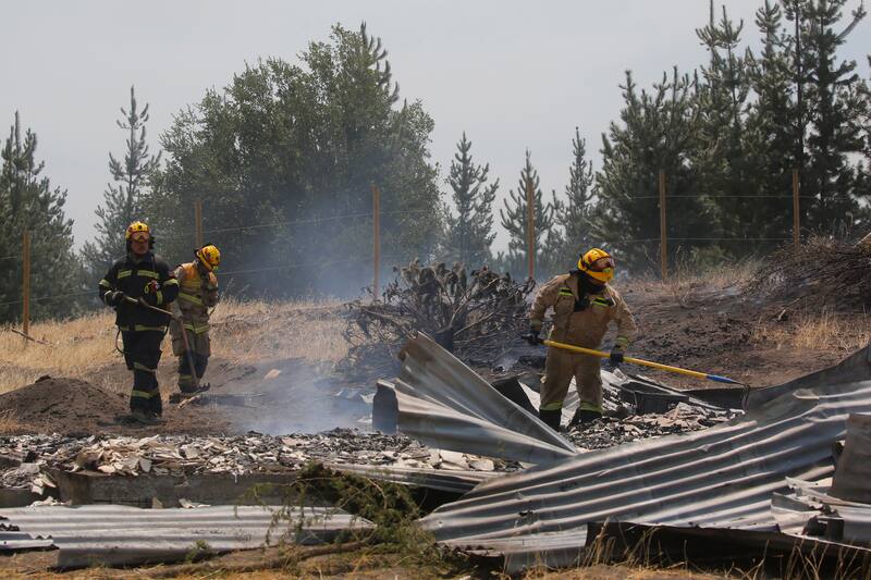 Gobierno anuncia 13 ayudas sociales para los damnificados de los incendios forestales.