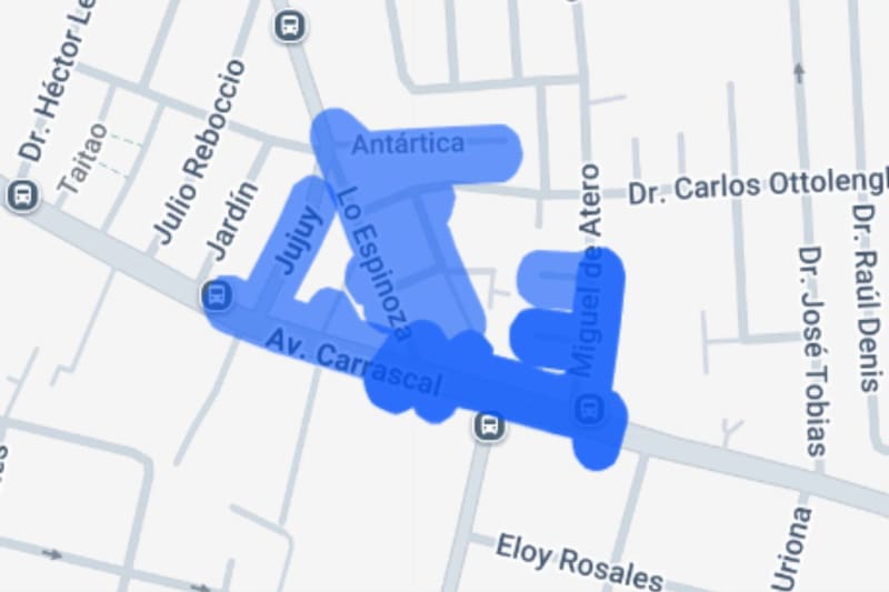 Quinta Normal.
Créditos: Enel.