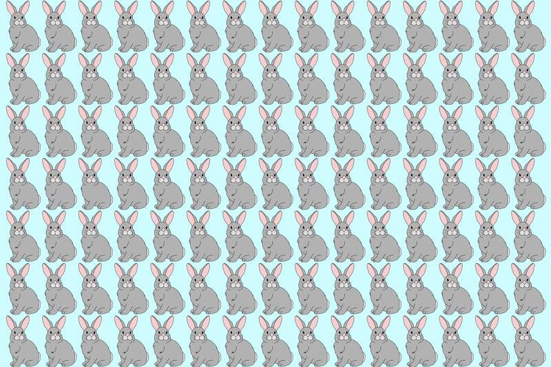 Encuentra a los dos conejitos diferentes.