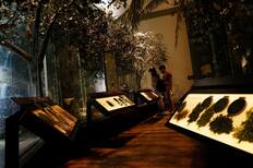 Imperdible en la RM: Cinco lugares poco conocidos que podrás visitar en la Noche de Museos 2025