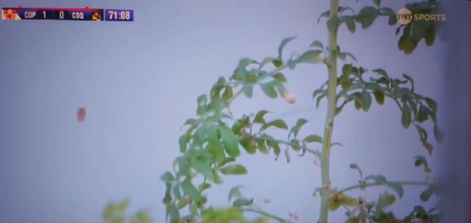 La ruda que puso Deportes Copiapó en el Luis Valenzuela Hermosilla