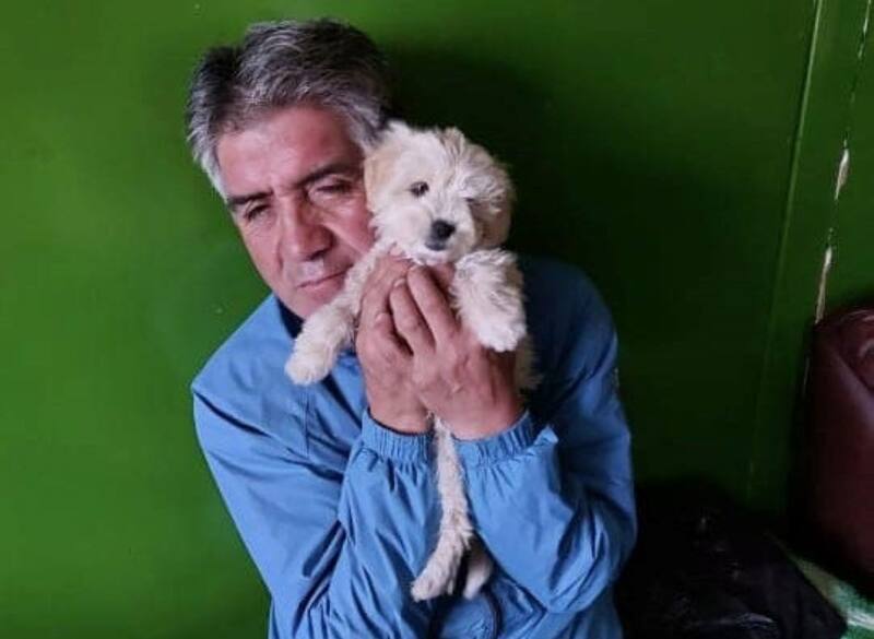 La búsqueda se ha concentrado en el Estero Queilen, ubicado en la comuna de San Pablo.