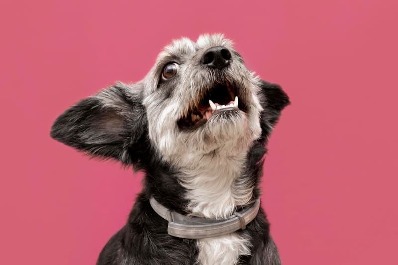 Así puedes conseguir que te ame.