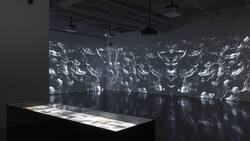 Una extraordinaria experiencia llega a Santiago: mezcla sonidos, imágenes y poesía, ideal para el Día de la Madre