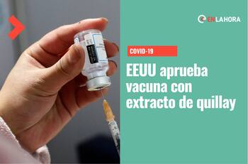 Novavax: Estados Unidos aprueba vacuna contra el coronavirus hecha con un árbol medicinal mapuche