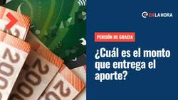 Pensión de Gracia: Revisa los requisitos, el monto que entrega y cómo puedes solicitar el aporte