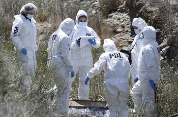Encuentran cuerpo sin vida de mujer al interior de zanja en Lago Ranco